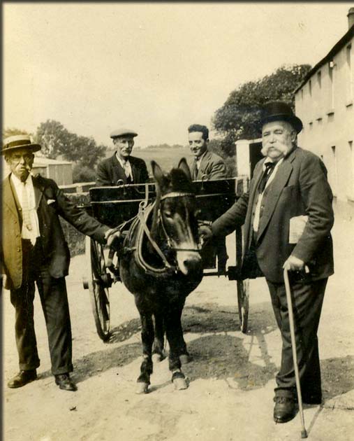 Charlestown Jaunting Car