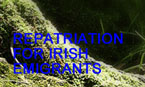 The Safe-Home Programme, Repatriation for Irish Emigrants