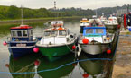westport-sea-angling-festival