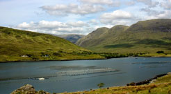 Killary Harbour South